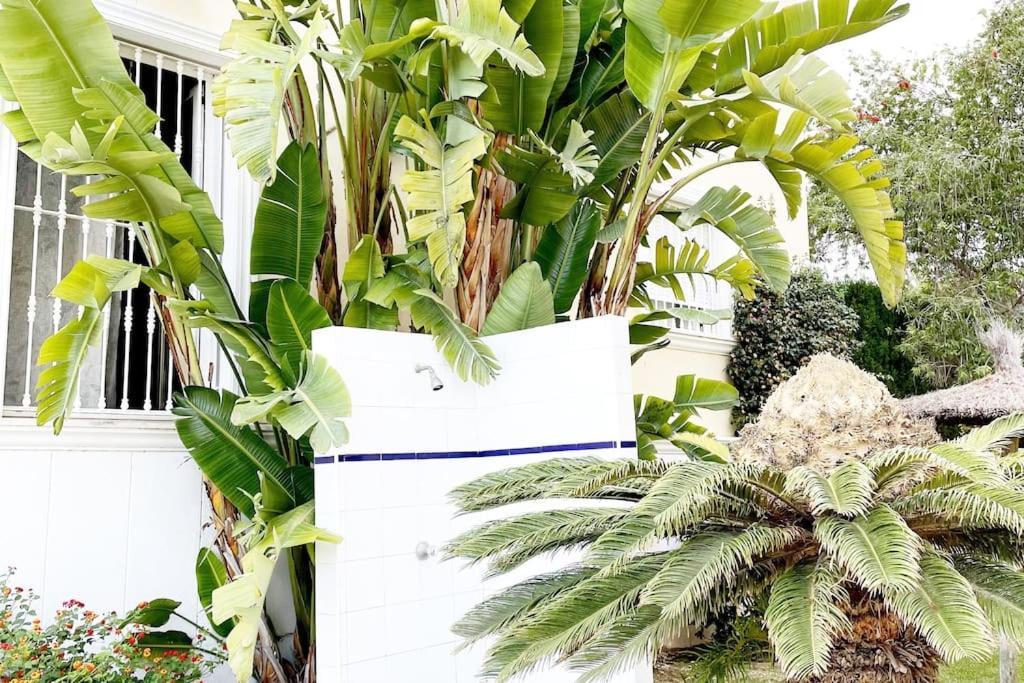 Beach Penthouse Apartment Jávea Exterior foto